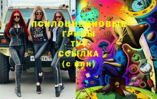 MESCALINE Гвардейск