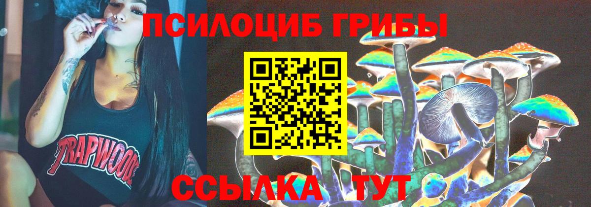 Псилоцибиновые грибы мухоморы Новодвинск
